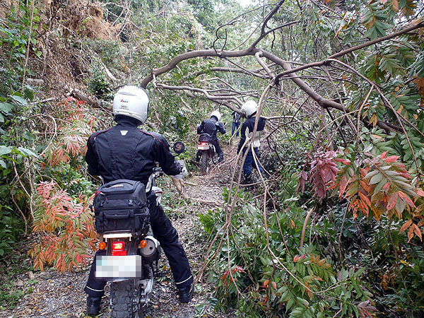 倒木箇所通過中